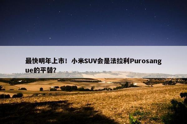 最快明年上市！小米SUV会是法拉利Purosangue的平替？