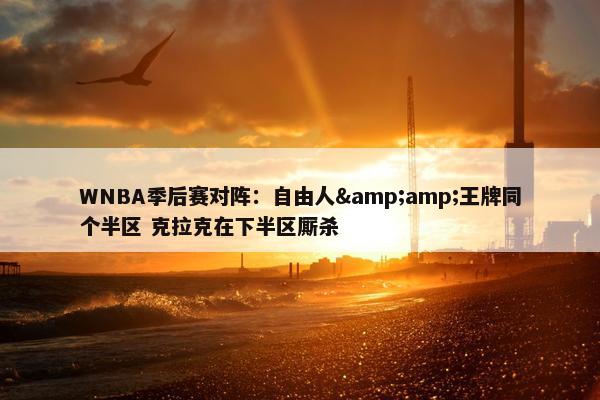 WNBA季后赛对阵：自由人&amp;王牌同个半区 克拉克在下半区厮杀