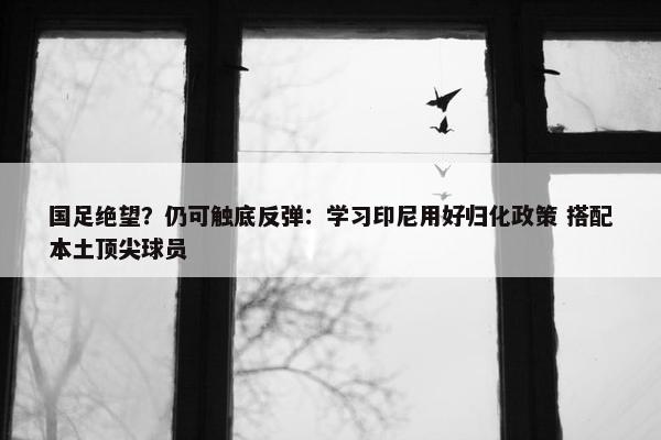 国足绝望？仍可触底反弹：学习印尼用好归化政策 搭配本土顶尖球员