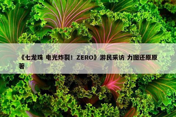 《七龙珠 电光炸裂！ZERO》游民采访 力图还原原著