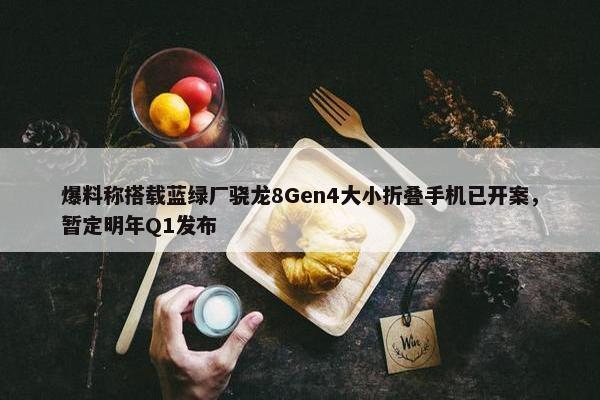 爆料称搭载蓝绿厂骁龙8Gen4大小折叠手机已开案，暂定明年Q1发布