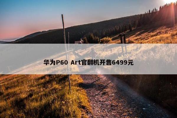 华为P60 Art官翻机开售6499元