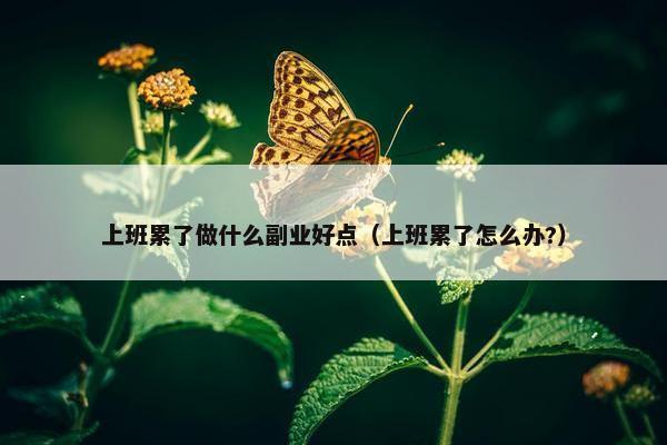 上班累了做什么副业好点（上班累了怎么办?）