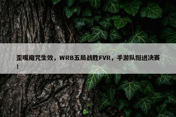 歪嘴魔咒生效，WRB五局战胜FVR，手游队挺进决赛！