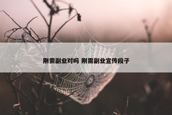 刚需副业对吗 刚需副业宣传段子