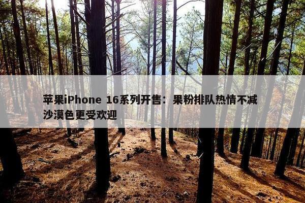 苹果iPhone 16系列开售：果粉排队热情不减 沙漠色更受欢迎