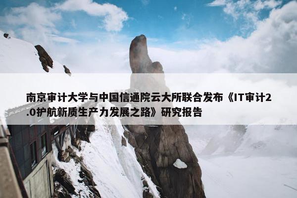 南京审计大学与中国信通院云大所联合发布《IT审计2.0护航新质生产力发展之路》研究报告