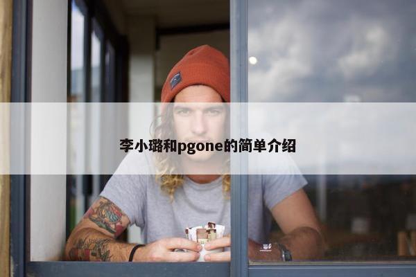 李小璐和pgone的简单介绍