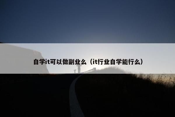 自学it可以做副业么（it行业自学能行么）