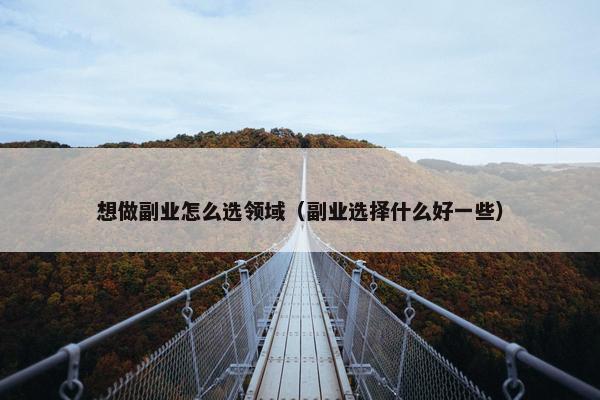 想做副业怎么选领域（副业选择什么好一些）