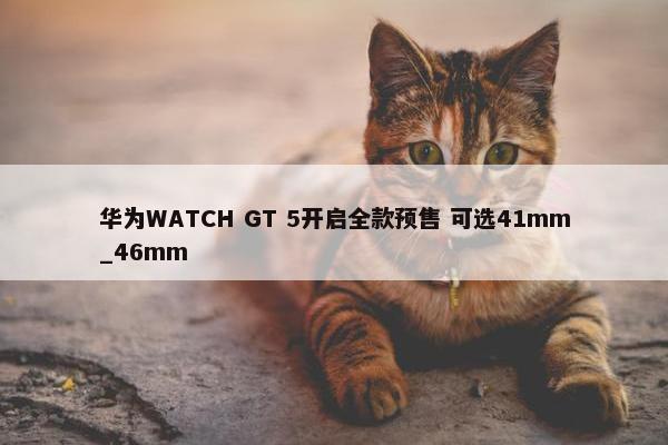 华为WATCH GT 5开启全款预售 可选41mm_46mm