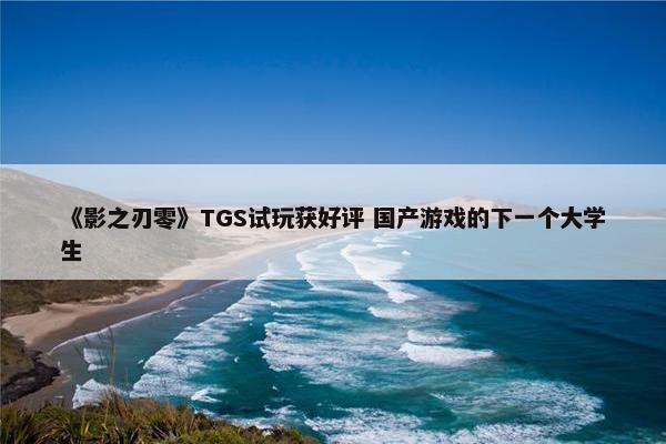 《影之刃零》TGS试玩获好评 国产游戏的下一个大学生