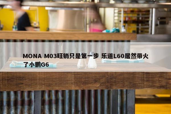 MONA M03旺销只是第一步 乐道L60居然带火了小鹏G6