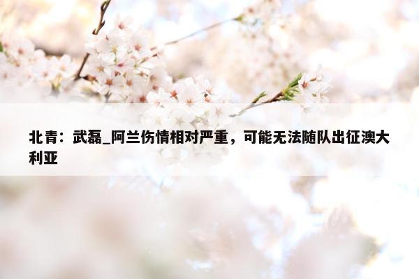 北青：武磊_阿兰伤情相对严重，可能无法随队出征澳大利亚