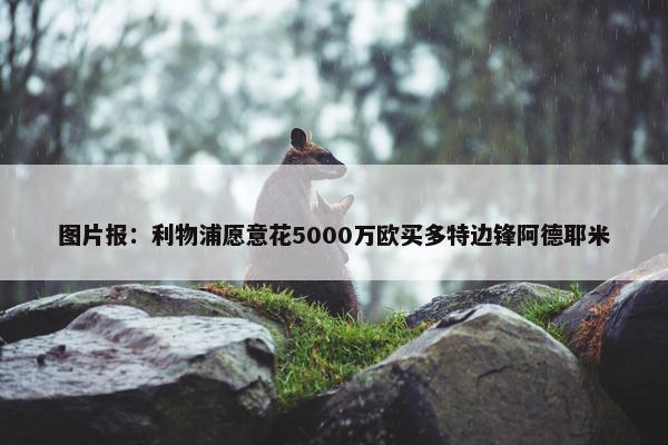 图片报：利物浦愿意花5000万欧买多特边锋阿德耶米