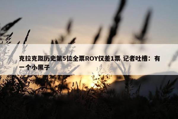 克拉克距历史第5位全票ROY仅差1票 记者吐槽：有一个小黑子