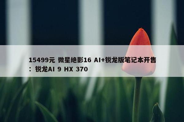 15499元 微星绝影16 AI+锐龙版笔记本开售：锐龙AI 9 HX 370