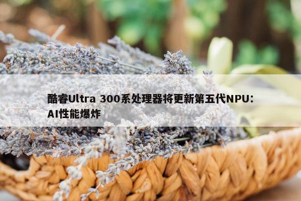 酷睿Ultra 300系处理器将更新第五代NPU：AI性能爆炸