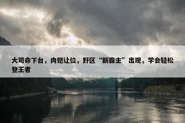 大司命下台，肉铠让位，野区“新霸主”出现，学会轻松登王者