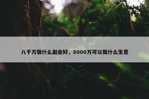 八千万做什么副业好，8000万可以做什么生意