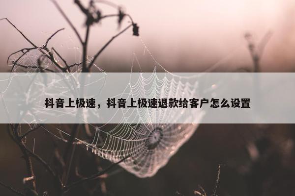 抖音上极速，抖音上极速退款给客户怎么设置