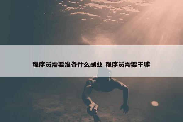 程序员需要准备什么副业 程序员需要干嘛