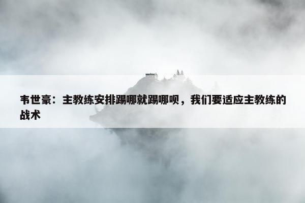 韦世豪：主教练安排踢哪就踢哪呗，我们要适应主教练的战术