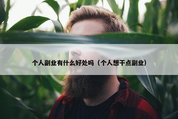 个人副业有什么好处吗（个人想干点副业）