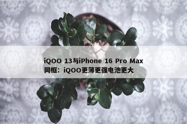 iQOO 13与iPhone 16 Pro Max同框：iQOO更薄更强电池更大