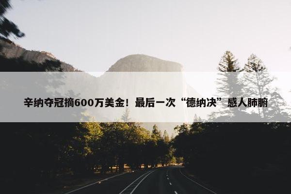 辛纳夺冠摘600万美金！最后一次“德纳决”感人肺腑