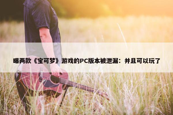 曝两款《宝可梦》游戏的PC版本被泄漏：并且可以玩了