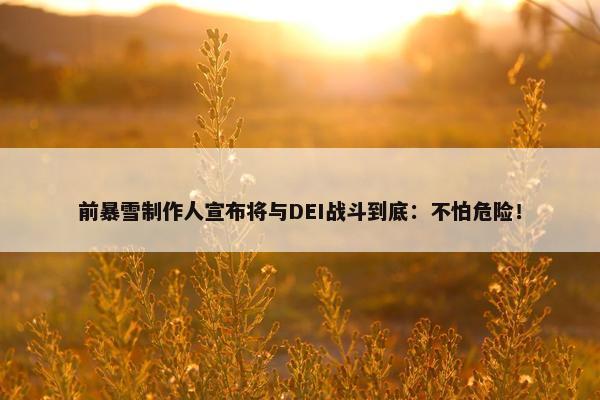 前暴雪制作人宣布将与DEI战斗到底：不怕危险！