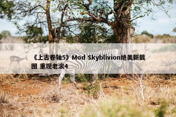 《上古卷轴5》Mod Skyblivion绝美新截图 重现老滚4