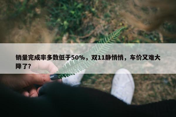 销量完成率多数低于50%，双11静悄悄，车价又难大降了？