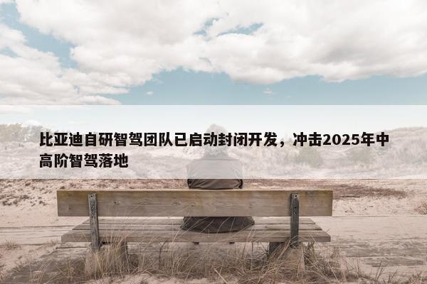 比亚迪自研智驾团队已启动封闭开发，冲击2025年中高阶智驾落地