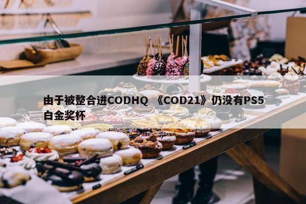 由于被整合进CODHQ 《COD21》仍没有PS5白金奖杯