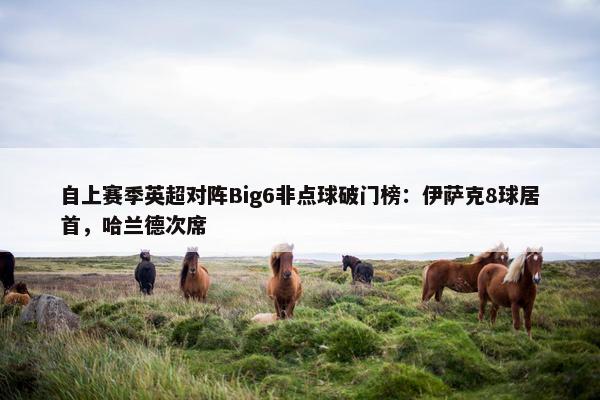 自上赛季英超对阵Big6非点球破门榜：伊萨克8球居首，哈兰德次席