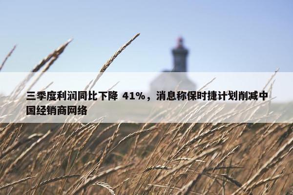 三季度利润同比下降 41%，消息称保时捷计划削减中国经销商网络