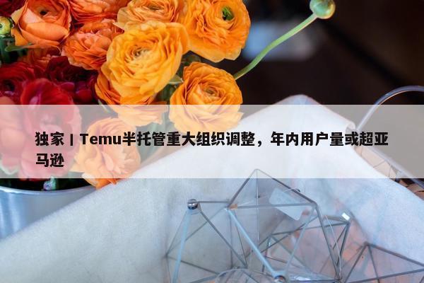 独家丨Temu半托管重大组织调整，年内用户量或超亚马逊