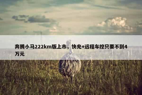 奔腾小马222km版上市，快充+远程车控只要不到4万元