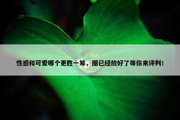 性感和可爱哪个更胜一筹，图已经放好了等你来评判！