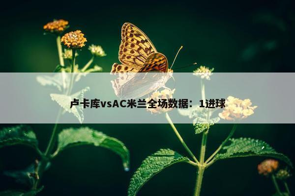 卢卡库vsAC米兰全场数据：1进球