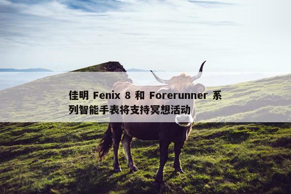 佳明 Fenix 8 和 Forerunner 系列智能手表将支持冥想活动