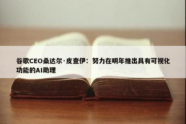 谷歌CEO桑达尔·皮查伊：努力在明年推出具有可视化功能的AI助理