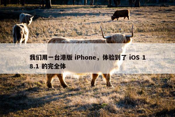 我们用一台港版 iPhone，体验到了 iOS 18.1 的完全体