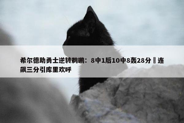 希尔德助勇士逆转鹈鹕：8中1后10中8轰28分 连飙三分引库里欢呼