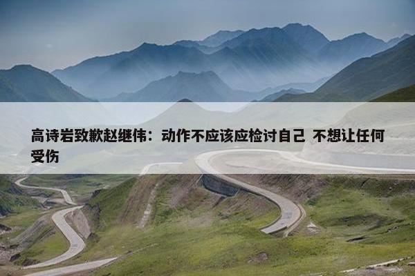 高诗岩致歉赵继伟：动作不应该应检讨自己 不想让任何受伤