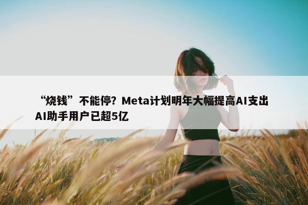 “烧钱”不能停？Meta计划明年大幅提高AI支出 AI助手用户已超5亿