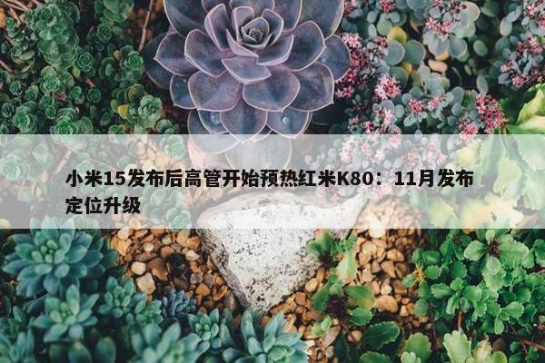 小米15发布后高管开始预热红米K80：11月发布 定位升级