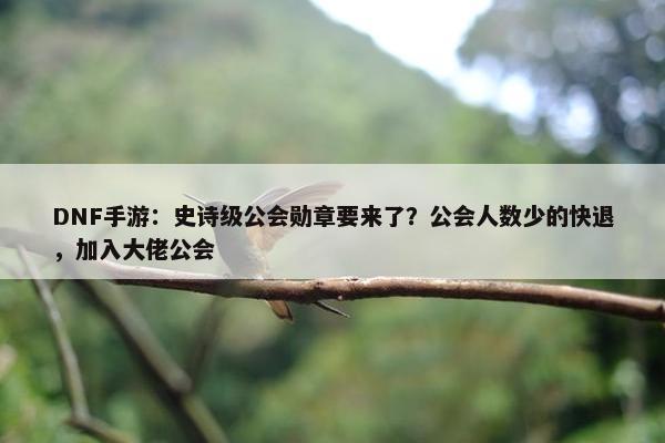 DNF手游：史诗级公会勋章要来了？公会人数少的快退，加入大佬公会